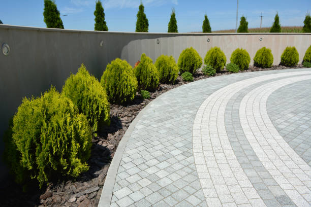 Best Driveway Paving Contractor  in Radford, VA
